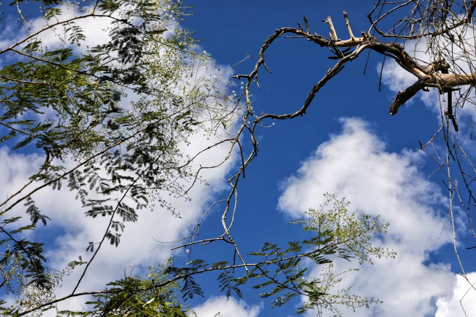 Maricá continua com temperaturas elevadas até quarta-feira (05/02)